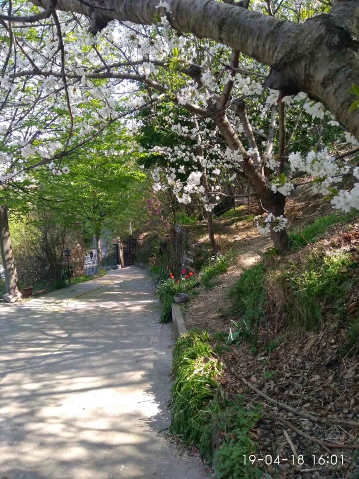 Bed and Breakfast Segni E Impronta Finale Ligure Exterior foto