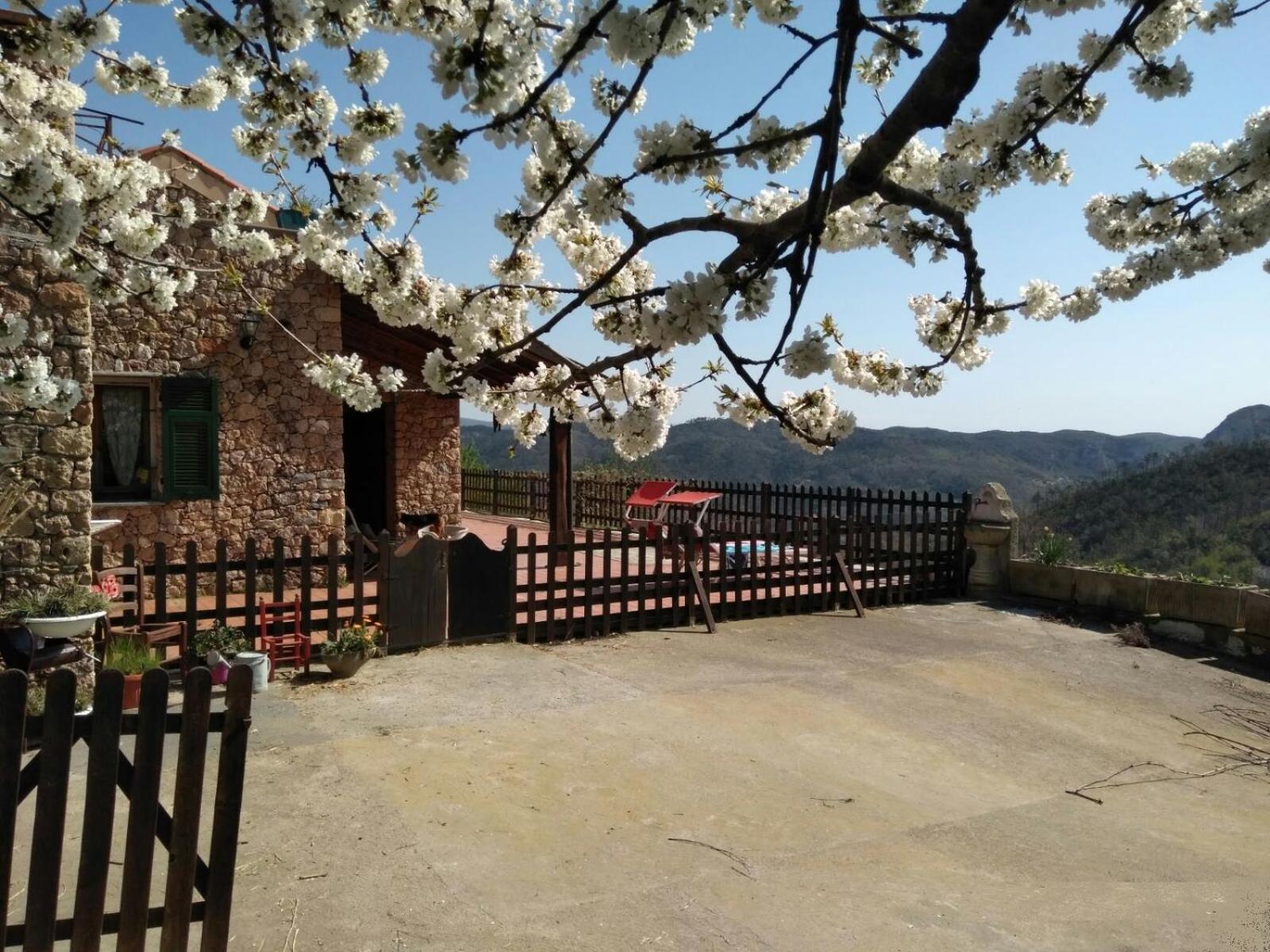 Bed and Breakfast Segni E Impronta Finale Ligure Exterior foto