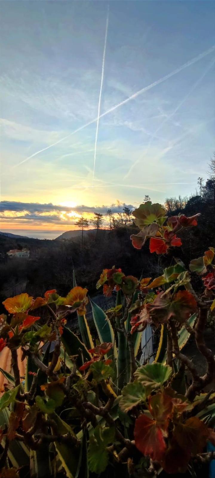 Bed and Breakfast Segni E Impronta Finale Ligure Exterior foto